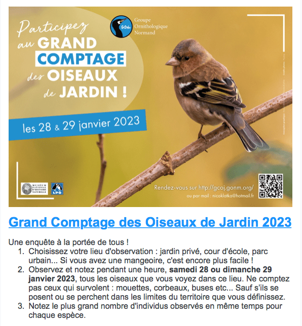 Comptage des Oiseaux 2023