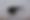 Enlarge the image